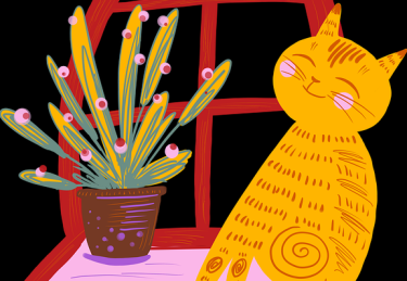 2025-10 鉴黄师官网入口入门教程：历史沿革最新动态