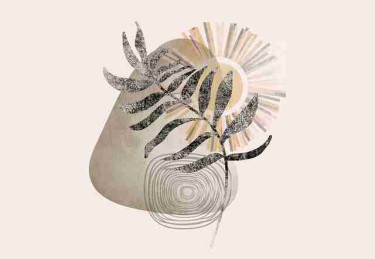 麻豆产品测评背后的社交话题深度解析