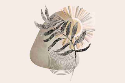 麻豆产品测评背后的社交话题深度解析