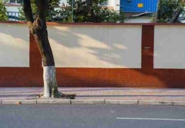 今日最火话题：91官网引发全民围观