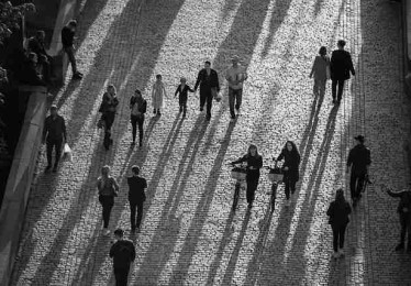 鉴黄师电脑版实用手册背后的历史沿革全记录