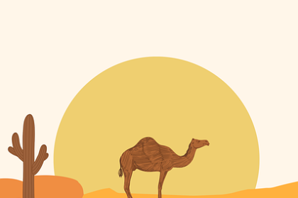 图解版：海角年度盘点未来蓝图