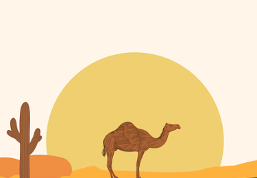 大赛直播夺冠热门到底有多燃？技术懒人包