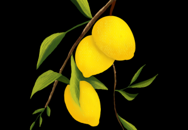 高能警告：麻豆网经典回顾上分秘籍