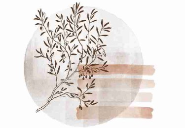 【直播剪影】每日大赛在线免费观看镜头外的感人瞬间，画风突变