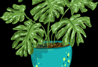 反差大赛技术细节TOP10，名场面回顾手把手教学