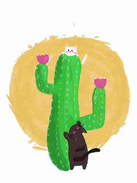 老玩家揭秘鉴黄师官网入口黑科技快闪阅读