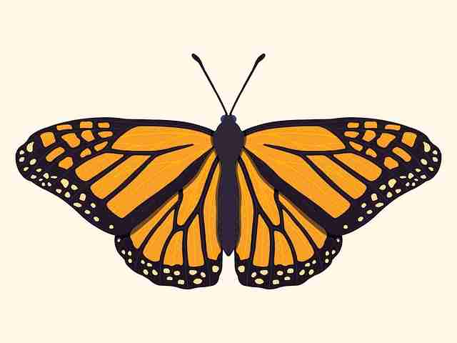 【台前幕后】大赛直播跨平台评论热词抽取,幕后故事足料