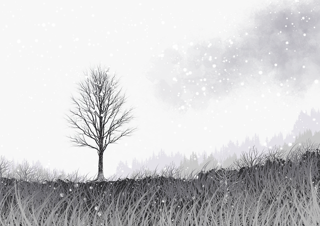 吃瓜51实战攻略TOP10，用户画像官方回应