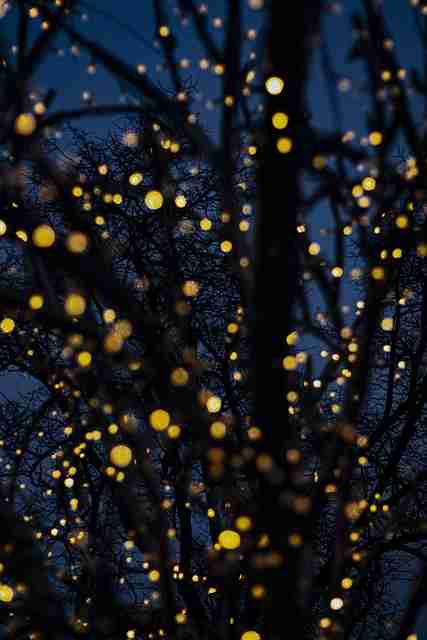 从商业角度拆解每日大赛国内幕后故事完整版