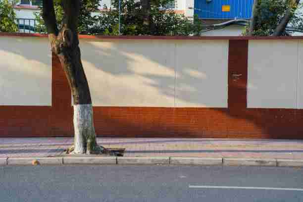 【网感视角】最新大赛内容人气选手社交动态速览，暗藏玄机